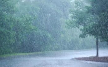 "Forecast map for monsoon 2025 precipitation levels"