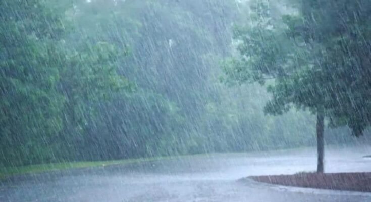 "Forecast map for monsoon 2025 precipitation levels"